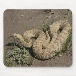 Mousepad R6 Prairie Rattlesnake