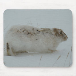 Mousepad R7 Lebre-de-neve Pronta para Correr