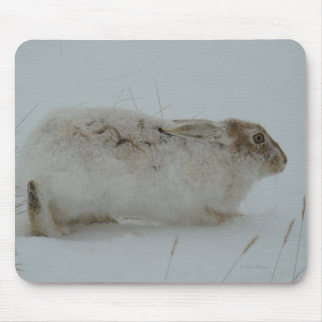 Mousepad R7 Lebre-de-neve Pronta para Correr (Frente)