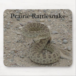 Mousepad R9 Prairie Rattlesnake Coil