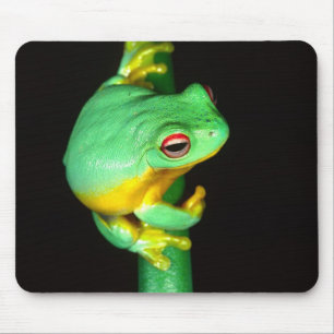 Mousepad Rã-arbórea-de-olho-vermelho-australiana, Litoria c