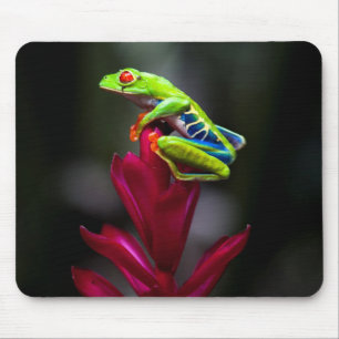Mousepad Rã-de-olho-vermelho