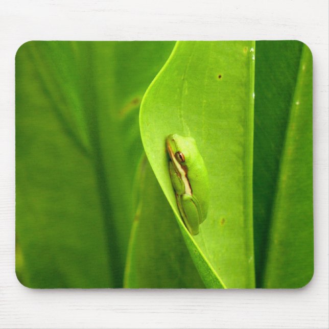 Mousepad Rã Verde Sonolenta (Frente)
