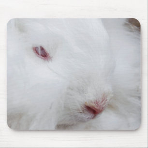 Mousepad Rabbit Angora Branco