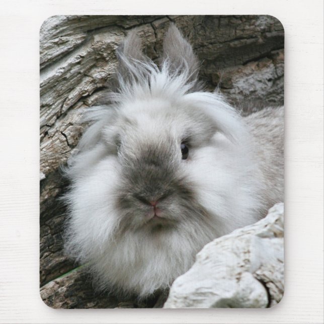 Mousepad Rabbit Lionhead (Frente)