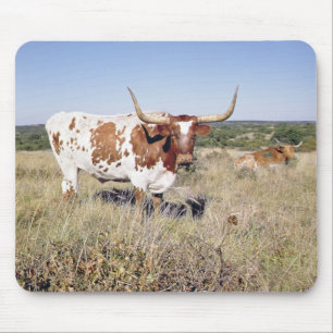 Mousepad Raça de Texas Longhorn (foto)
