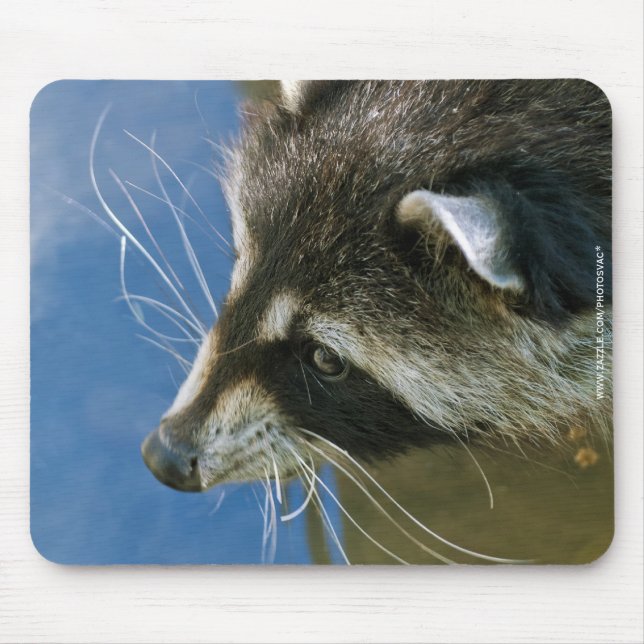 Mousepad Raccoon (Frente)