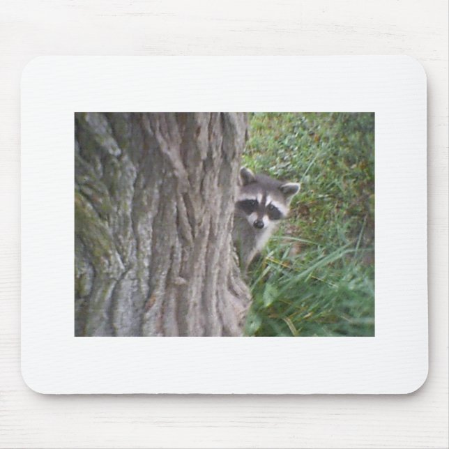 Mousepad Raccoon (Frente)