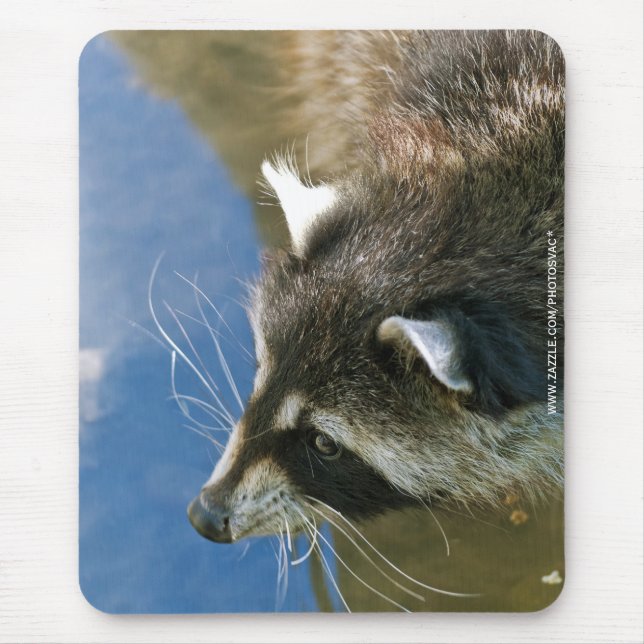 Mousepad Raccoon (Frente)