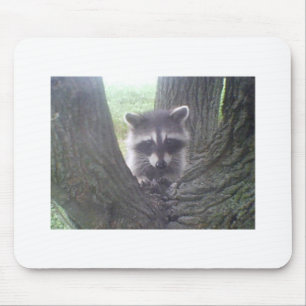 Mousepad Raccoon na Árvore