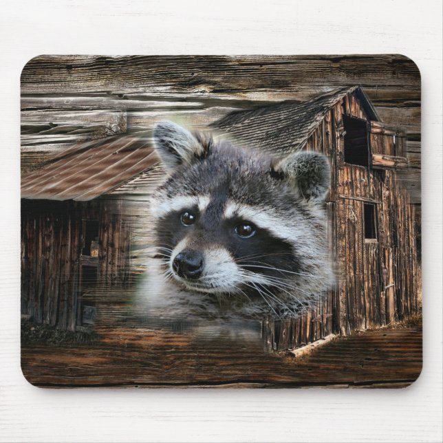 Mousepad Raccoon No Velho Barn (Frente)