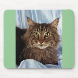 Mousepad Racum de Maine, gato malhado marrom