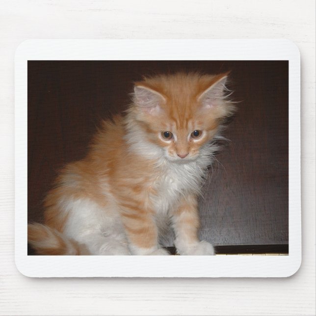 Mousepad racum kitten.png de maine (Frente)