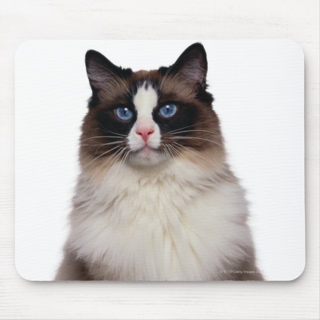 Mousepad Ragdoll Cat (Frente)