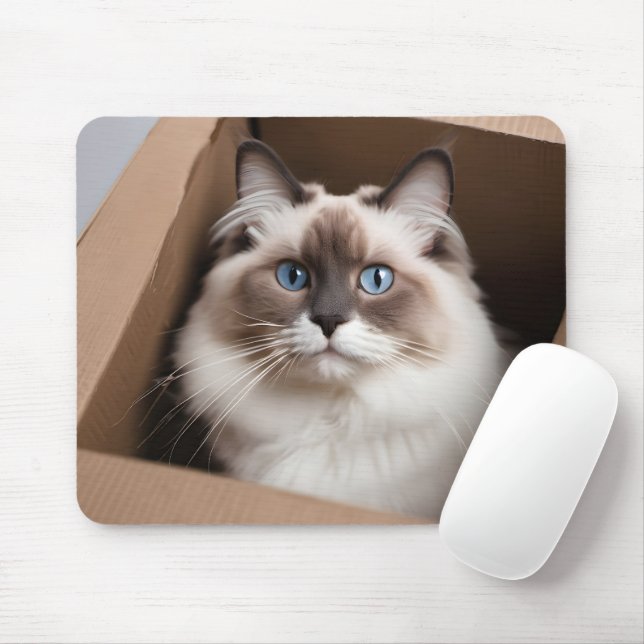 Mousepad Ragdoll Cat na caixa de papelão (Com mouse)