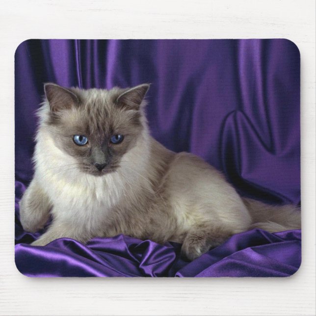 Mousepad Ragdoll, ponto azul (Frente)