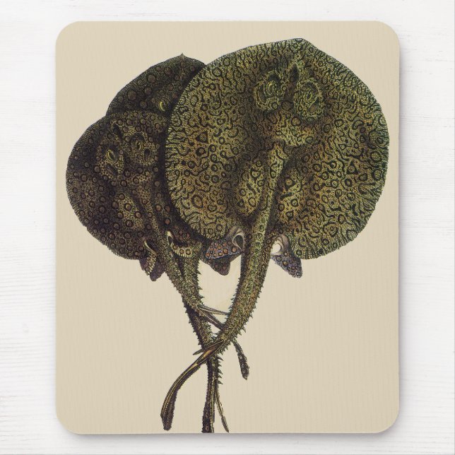 Mousepad Raias Stingrays, Animais de Vida Marinha Antigos (Frente)