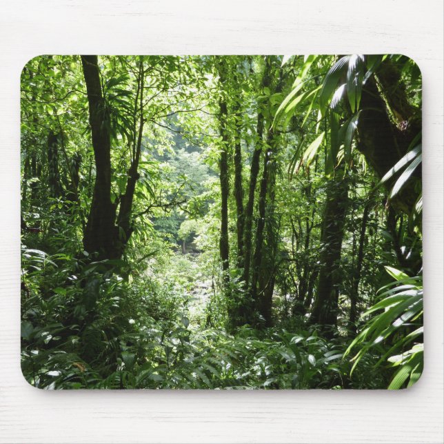 Mousepad Rain Forest II Tropical Verde (Frente)