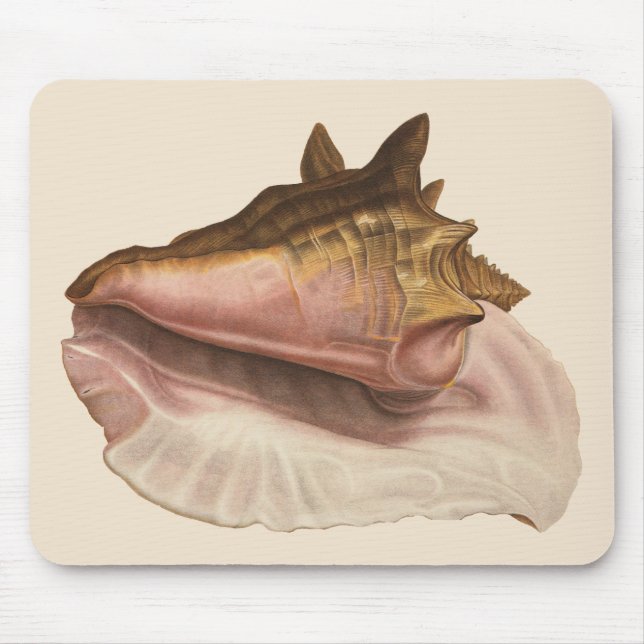 Mousepad Rainha Conch Shell Seashell, Vintage Marine Life (Frente)