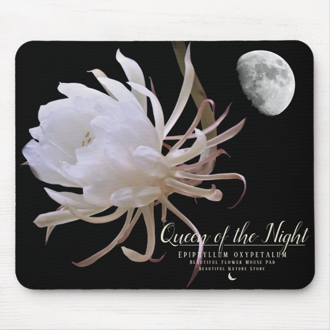 Mousepad Rainha da Noite マ ウ ス パ ド (Frente)