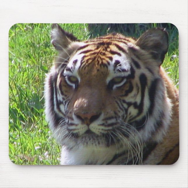 Mousepad Rainha da selva (Frente)