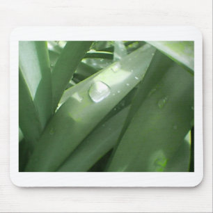 Mousepad Rainy Primavera