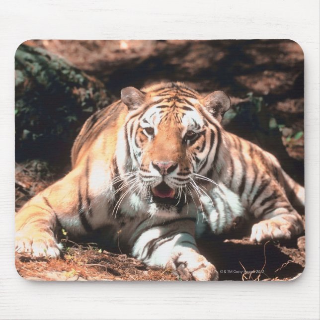 Mousepad Raio de Tigre (Frente)
