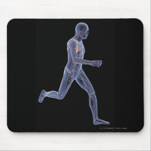 Mousepad Raio X do sistema vascular em um homem running