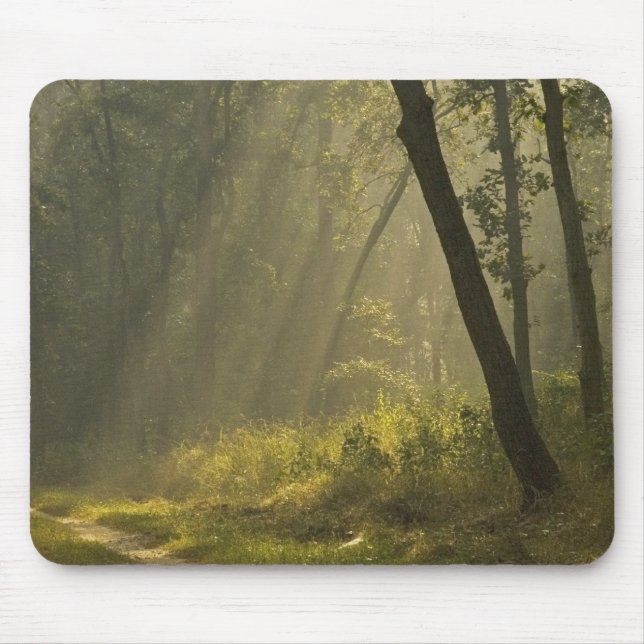 Mousepad Raios de luz da manhã através das árvores na selva (Frente)