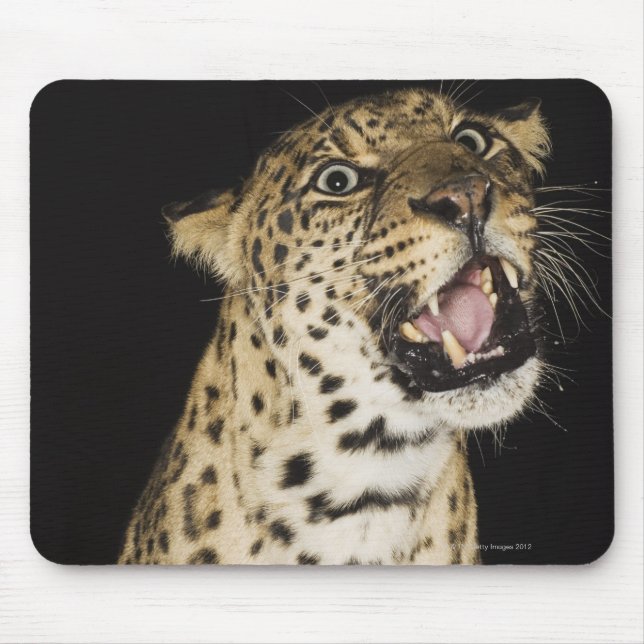 Mousepad Raiva-leopardo (Frente)
