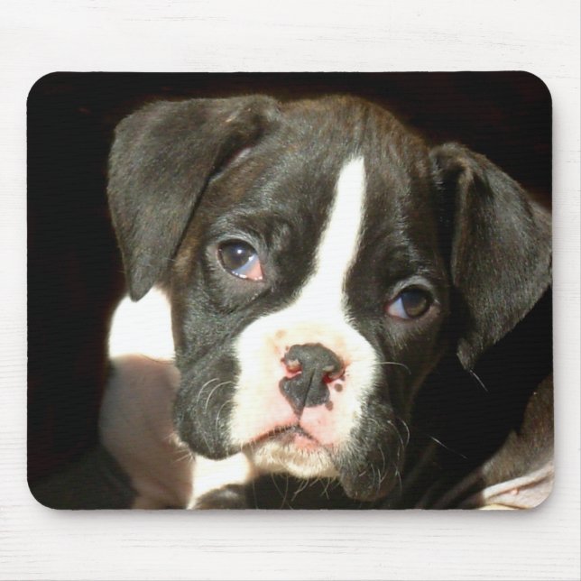 Mousepad rajado do filhote de cachorro do (Frente)