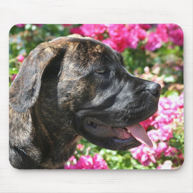 Mousepad rajado do filhote de cachorro do Mastiff (Frente)