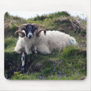 Mousepad Ram de Coroa Bonita Soando em Bluebeldes