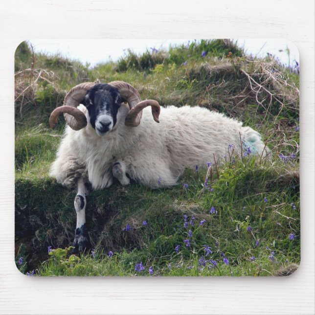 Mousepad Ram de Coroa Bonita Soando em Bluebeldes (Frente)