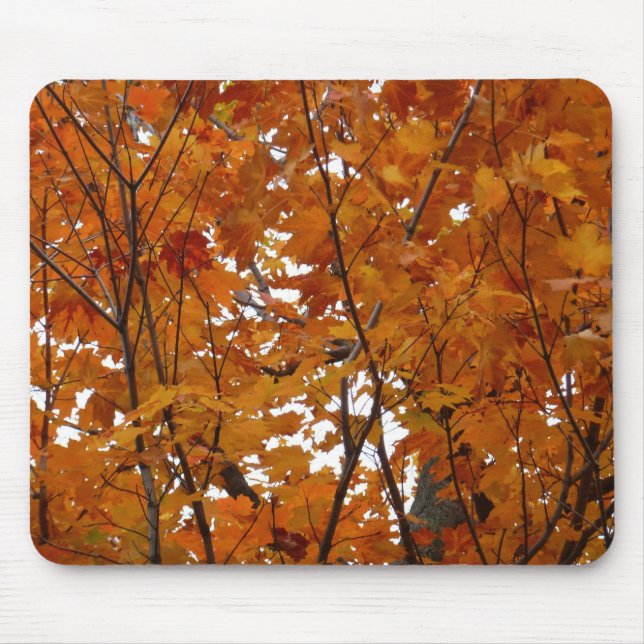 Mousepad Ramais de Folhas de Maple I Orange Autumn (Frente)