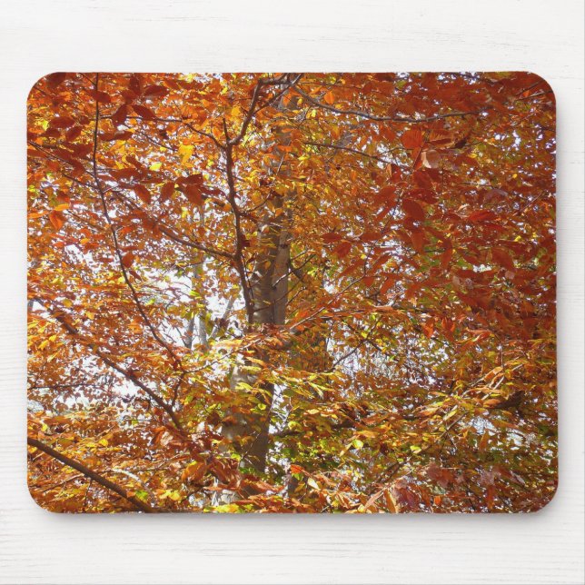 Mousepad Ramais de Laranja Folha de Outono Natureza (Frente)