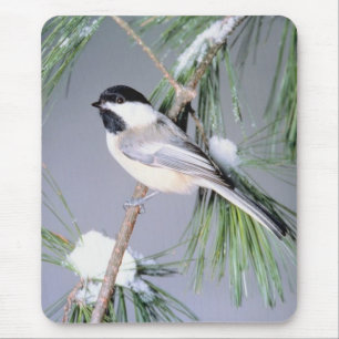 Mousepad Ramificação coberta por neve de pássaros