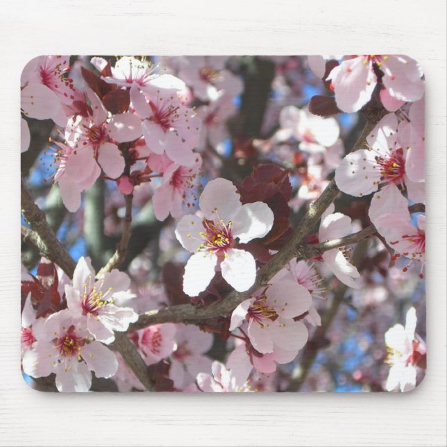 Mousepad Ramificação de Brilhos Rosa Primavera Floral (Frente)