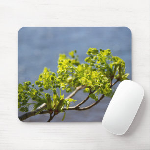 Mousepad Ramificação verde-branca no vento