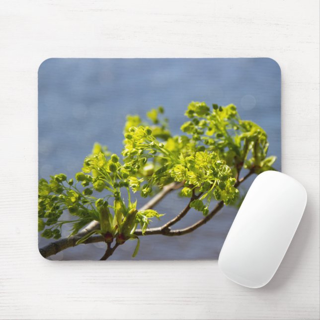 Mousepad Ramificação verde-branca no vento (Com mouse)