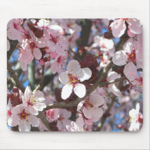 Mousepad Ramo da árvore de florescência do primavera
