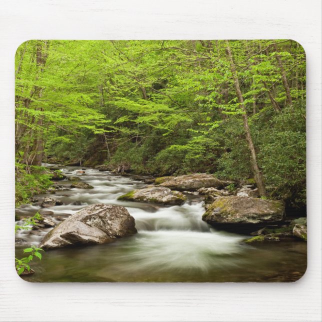 Mousepad Ramo Reto Flui Através da Floresta (Frente)