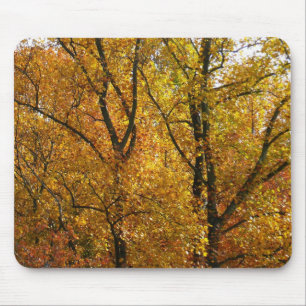 Mousepad Ramos de Folhas Amarelas Brilhantes Colorido Outon