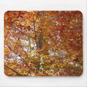 Mousepad Ramos de Folhas Laranja Outono Natureza