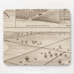 Mousepad Ranch Oakdale