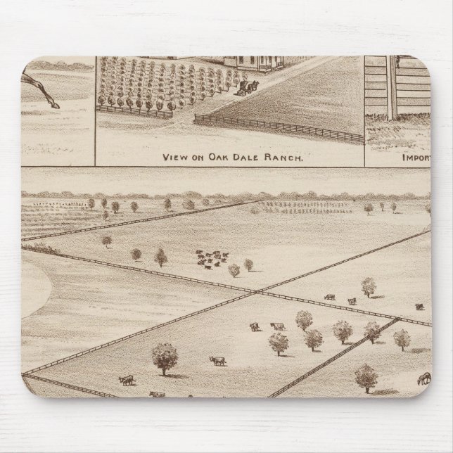 Mousepad Ranch Oakdale (Frente)