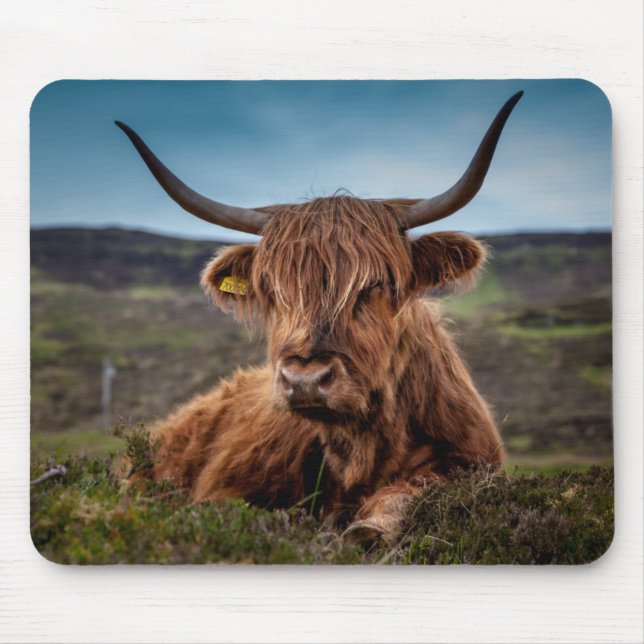 Mousepad Rancheiro escocês de Longhorn Bull da vaca das (Frente)