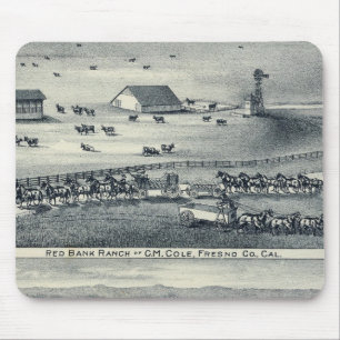 Mousepad Ranches do Cole