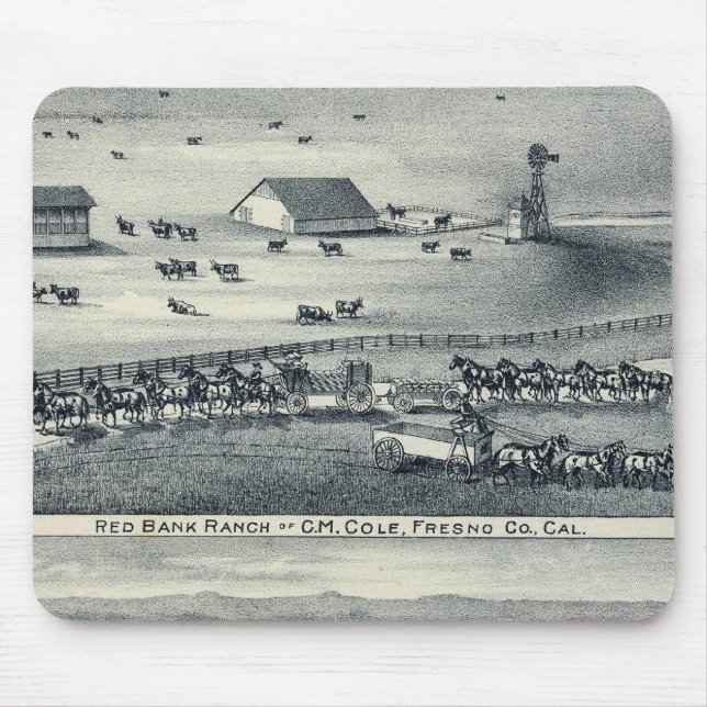 Mousepad Ranches do Cole (Frente)