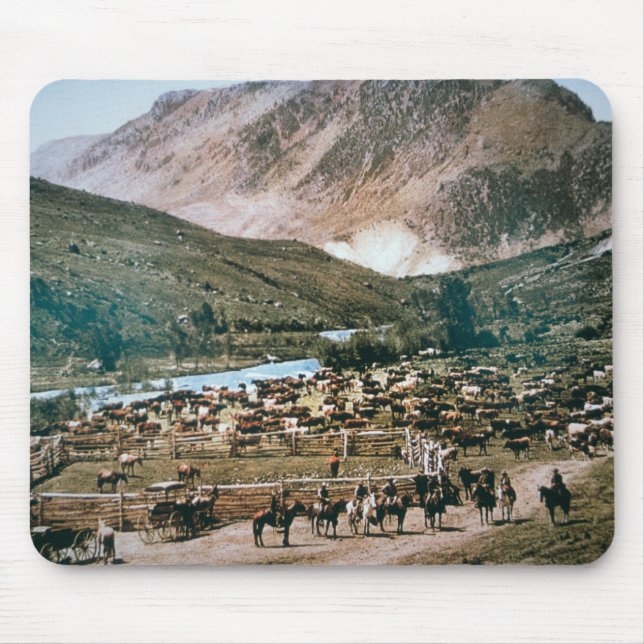 Mousepad Rancho de gado, Colorado, 1899 (foto) (Frente)